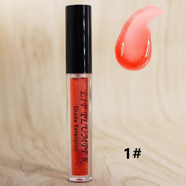 12 Color Big Lips Plumper Moisturizer Lip Gloss