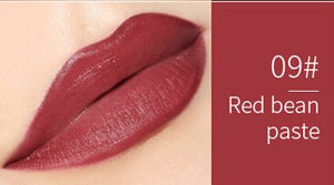 12 Color Matte Lipstick